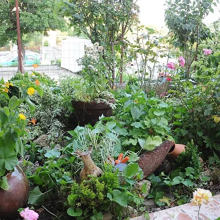 Hotel Babeva Sveti Vlas