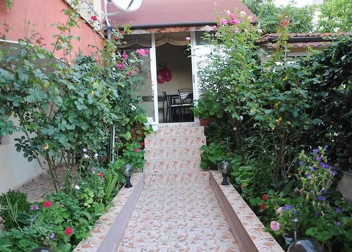 Babeva 3* סבטי ולאס