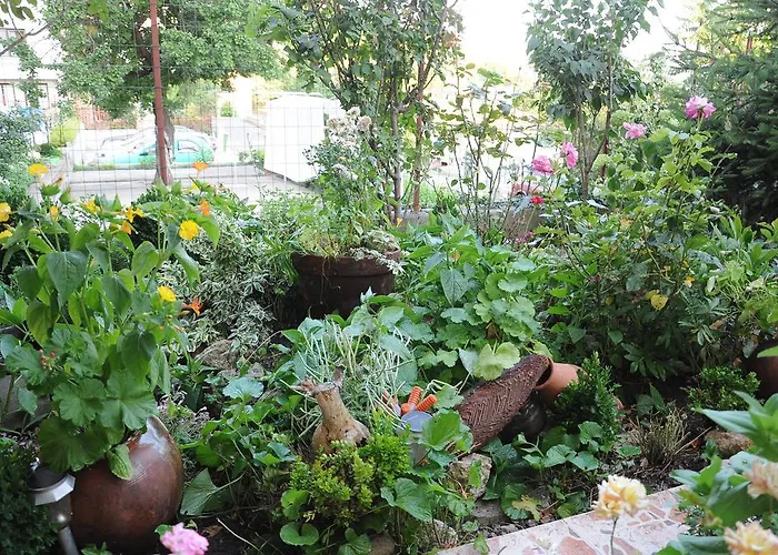 מלון Babeva סבטי ולאס