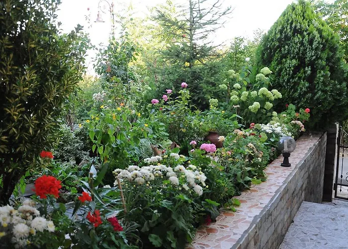 Babeva סבטי ולאס